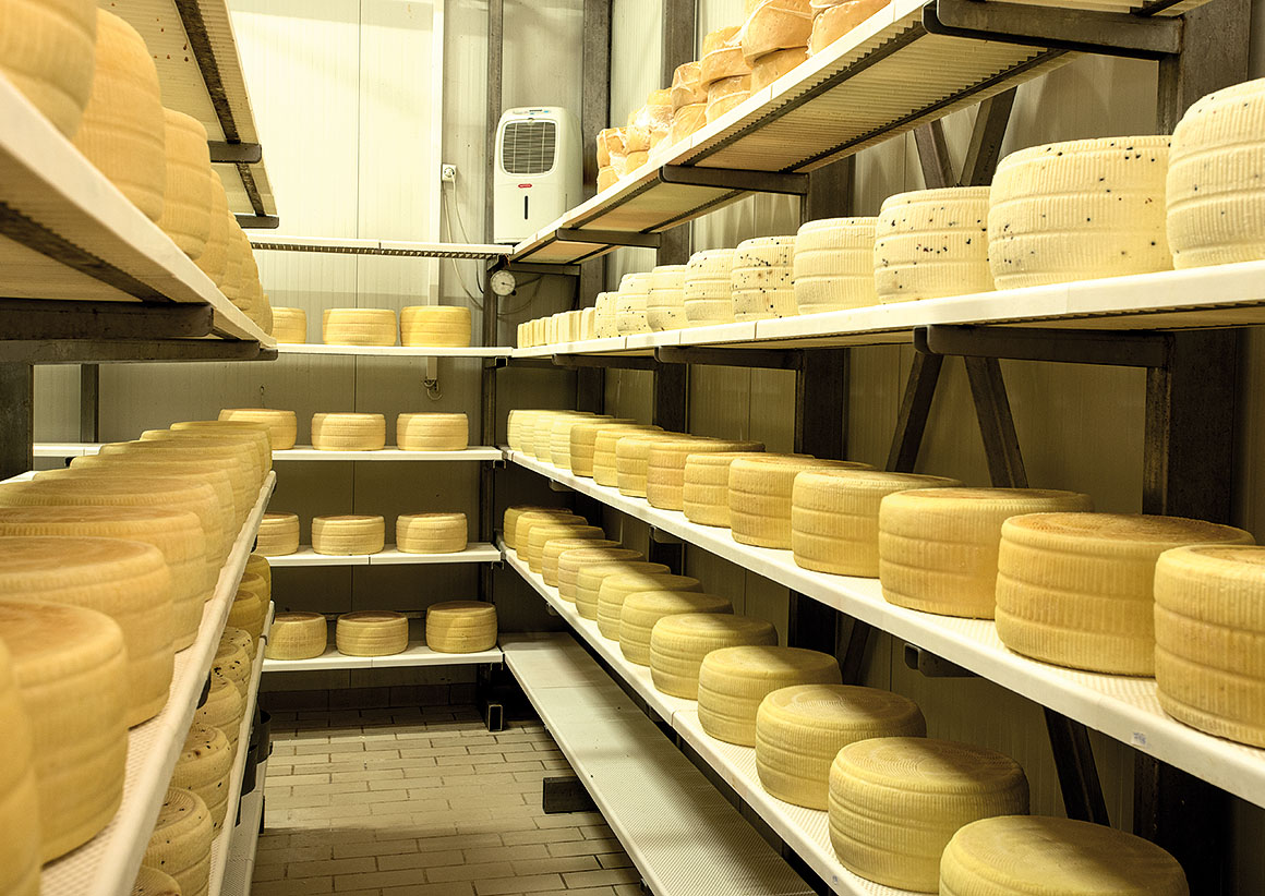 φέτα Φλέγγα